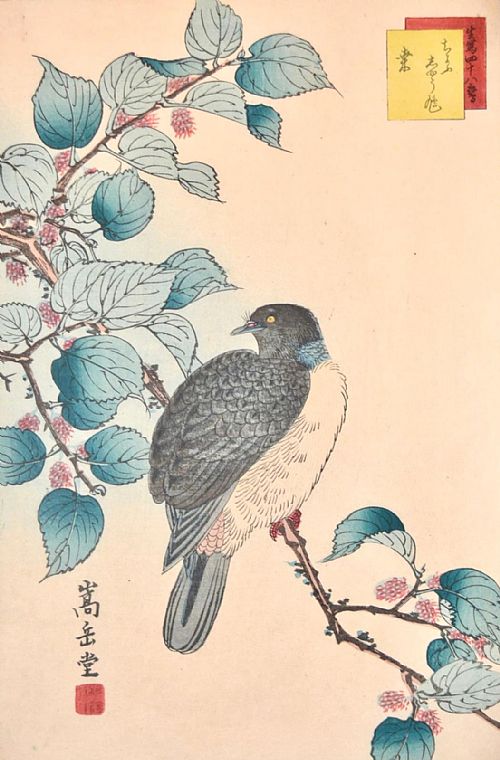 Nakayama Sugakudo - Dove on Mulberry Branch , 1859