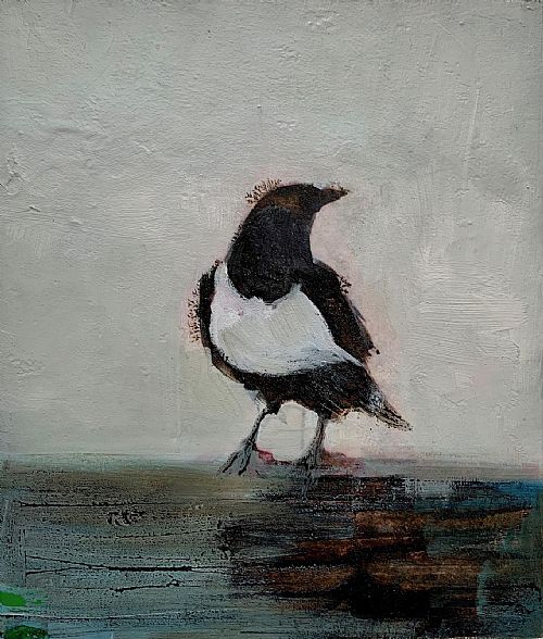 Jane  Ansell - Pied Crow - Just Visiting I