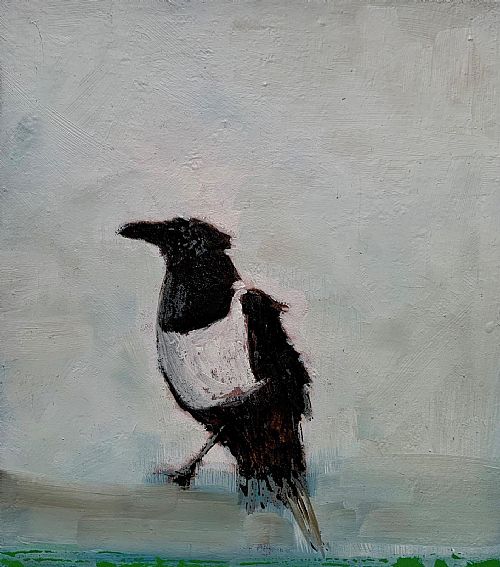 Jane  Ansell - Pied Crow - Just Visiting II