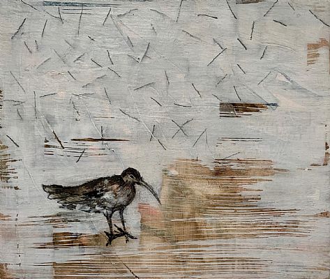 Jane  Ansell - Whimbrel II