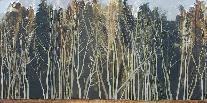 Anna King - Clearing, Duns Wood ( Study )