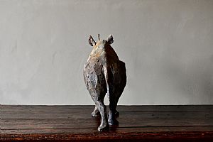 Still Rhino by Nichola Theakston