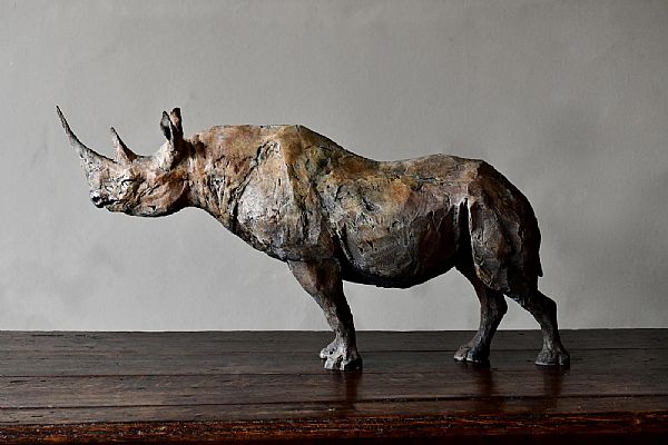 Nichola Theakston - Still Rhino