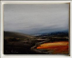 Orange Field by Tom Hughes
