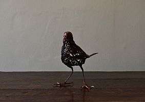 Blackbird by Rachel Higgins