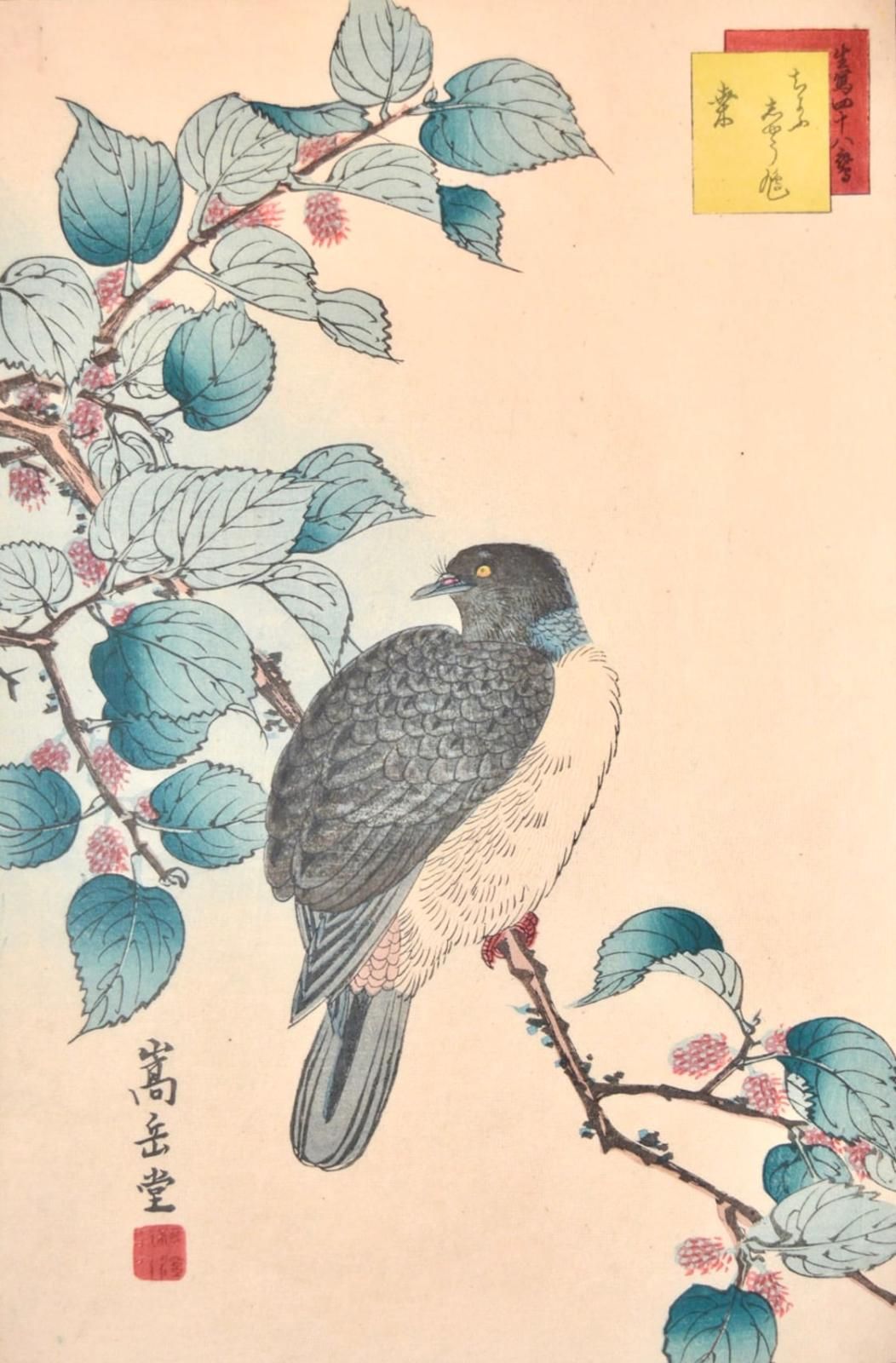 Dove on Mulberry Branch , 1859 by Nakayama Sugakudo