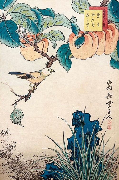  - Hokicho Bird, Apricot, Sekisho Grass , 1859