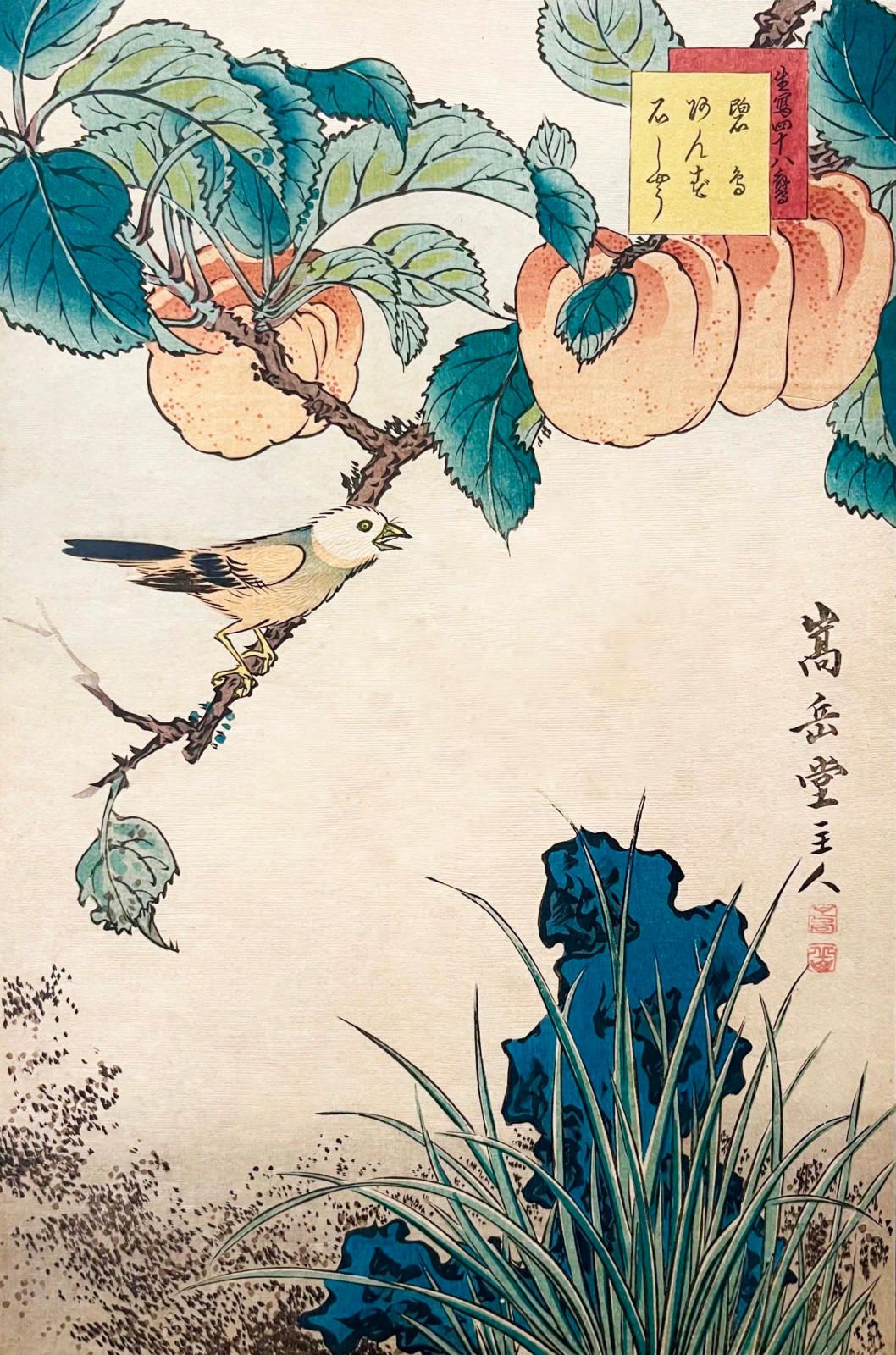 Hokicho Bird, Apricot, Sekisho Grass , 1859 by Nakayama Sugakudo