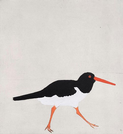 Kate Boxer - Oyster Catcher
